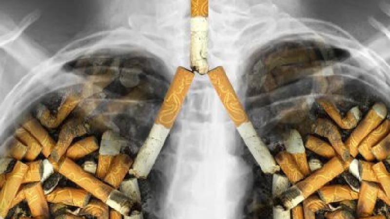 2025 空气净化器推荐：这 3款实用靠谱清单，闭眼入不花冤枉钱