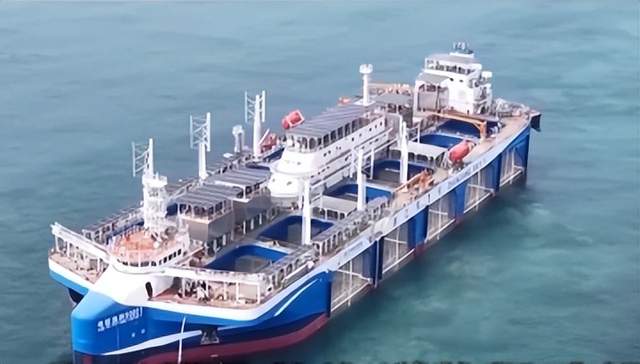 历史性跨越！“湛江湾1号”投产，中国渔业从近海挺进深蓝，格局彻底变了！