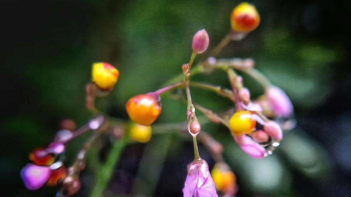 “离婚后，我才想起前妻的好”：什么样的复婚才值得考虑？