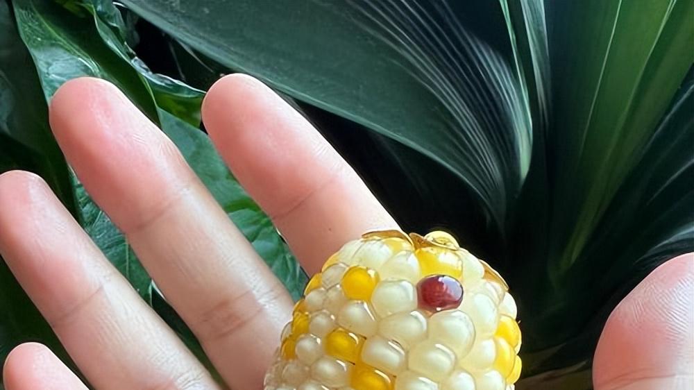 9.9文玩玉米卖断货？年轻人疯抢“盘玩新宠”，销量激增300%