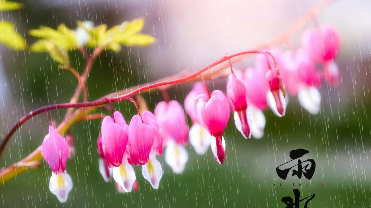 100句春雨诗词：下雨了，这样发朋友圈，绝了！