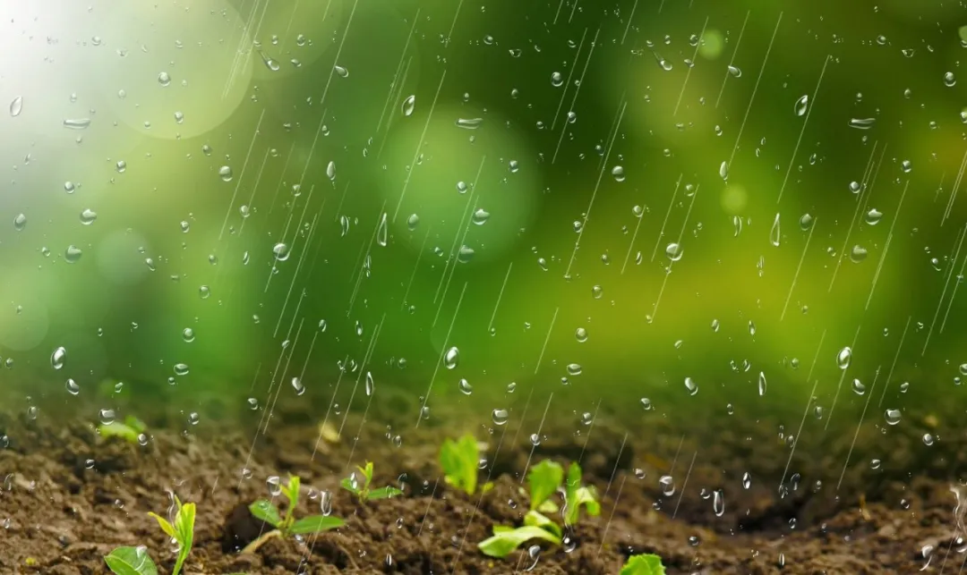 今日四月十一下雨，预示着什么？听老人怎么说？