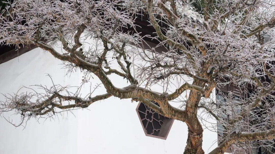 写雪最美的10篇古文，高级不落俗，古人的浪漫今人不及