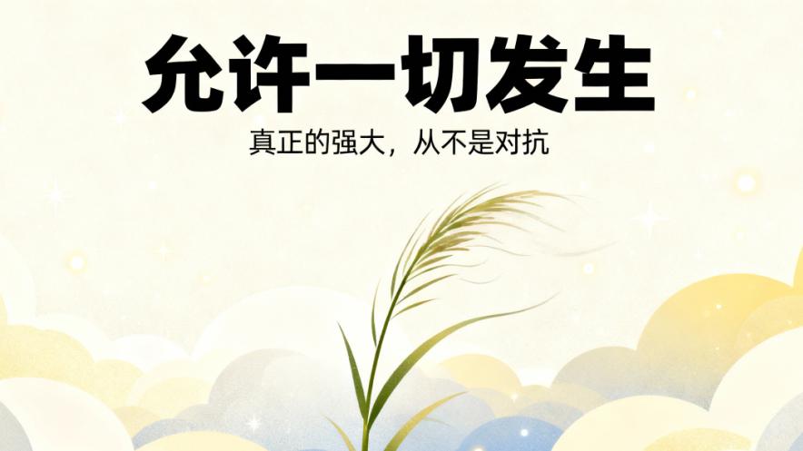 “允许一切发生”——真正的强大，从不是对抗