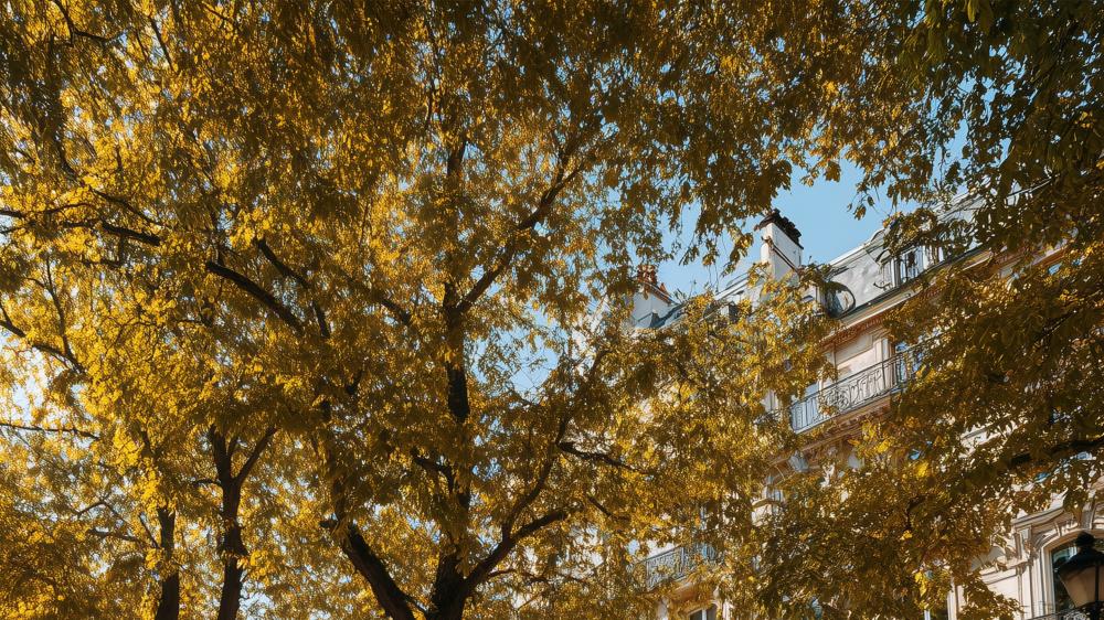 明星助阵+持续进化！领克Z20上市一周年，实力圈粉年轻群体