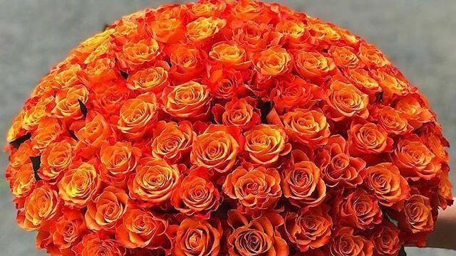 适合2025万圣节发的朋友圈句子，经典暖心，忍不住收藏！