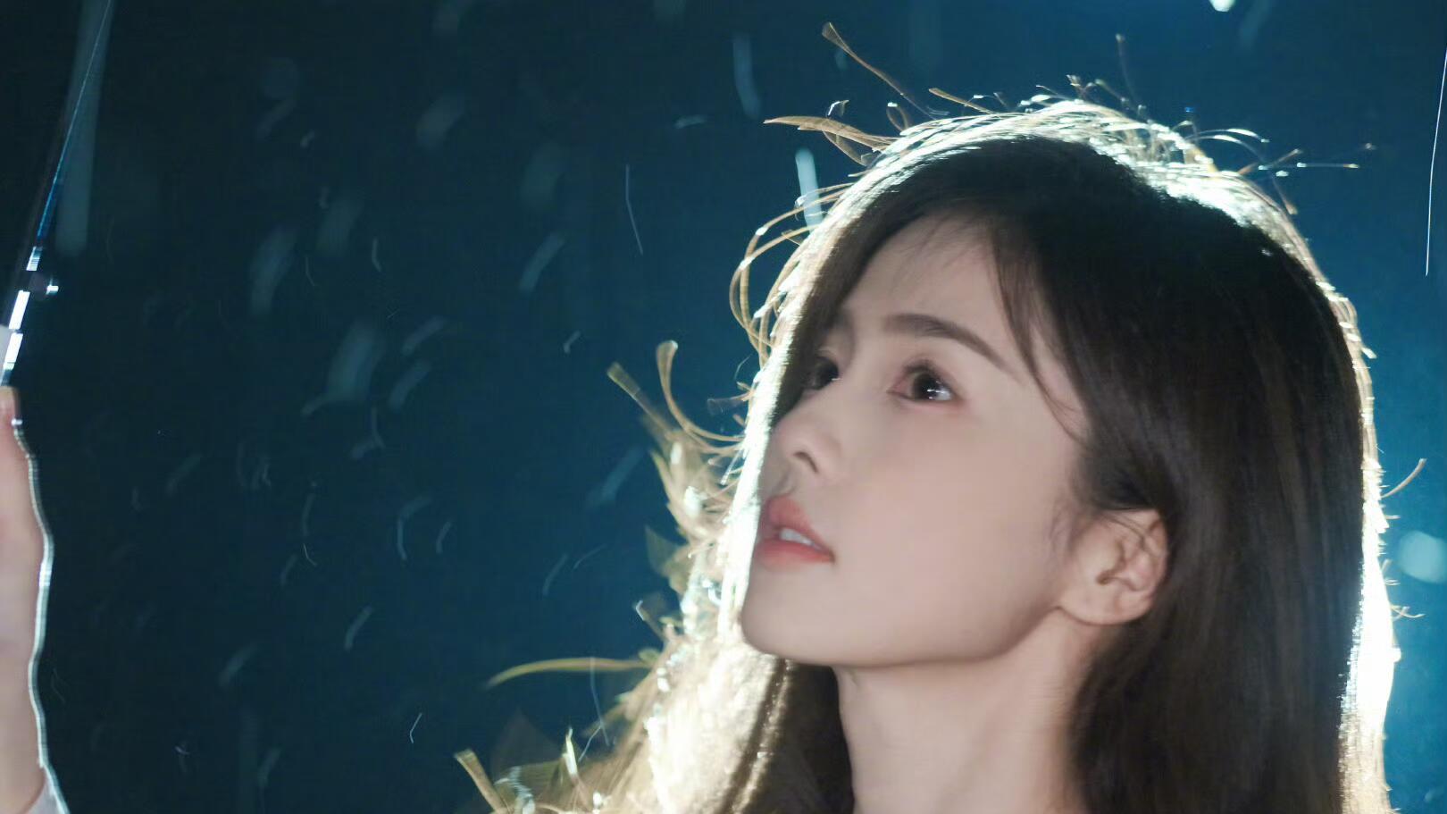 舞台焦点：白鹿的闪耀氛围