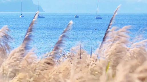 北方隆冬雪纷飞，云南澄江抚仙湖暖如春，这抹蓝藏着硬核守护