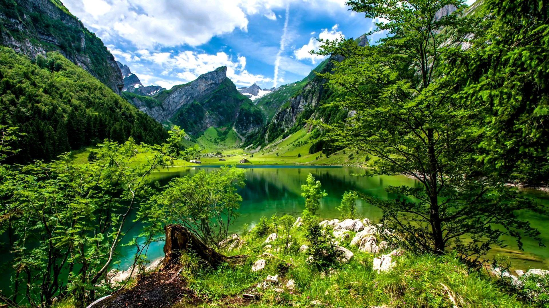 什么是人性的本质？什么是人心的本质？什么是人和人类的本质？