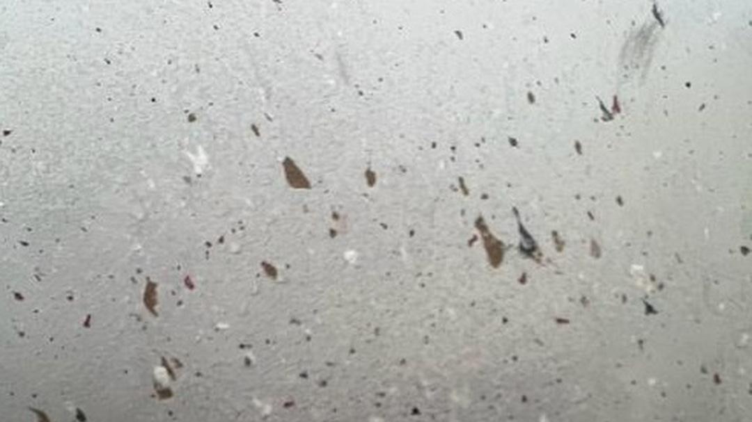 菌袋污染怎么搞，严格流程不能少，平菇栽培少烦恼