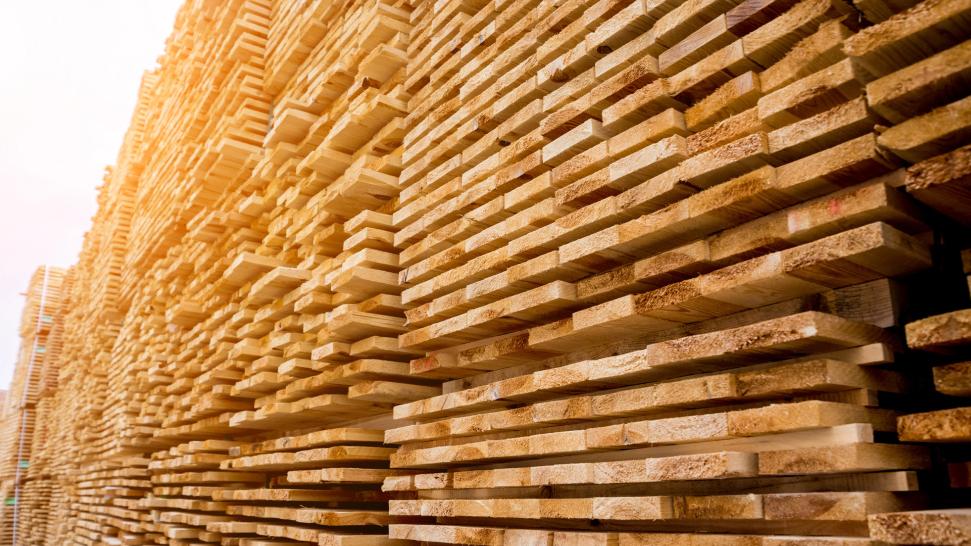 国内木材市场“阶段性冲刺”，进口反弹增长15.9%！