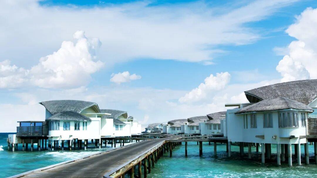 不想做“影子供应商”的商家，都跑去飞猪了