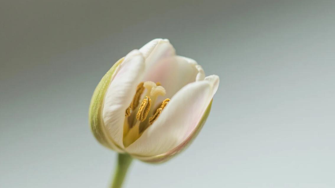 《新闻女王2》大结局：主角的顿悟，如何唤醒千万人的迷茫？