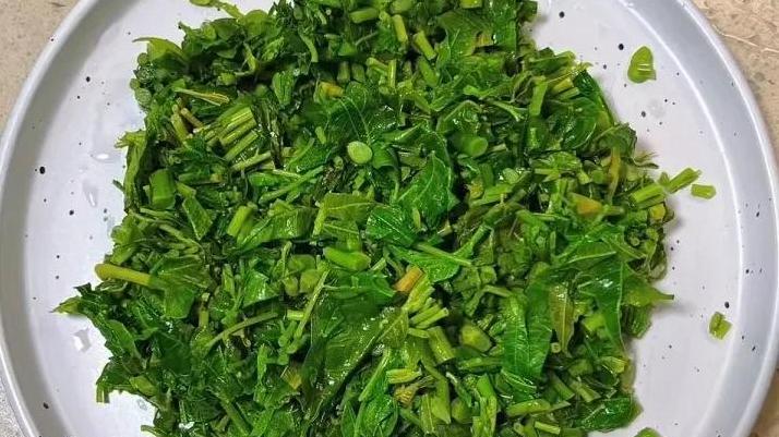 香椿的正确做法是什么？焯水竟然是错的