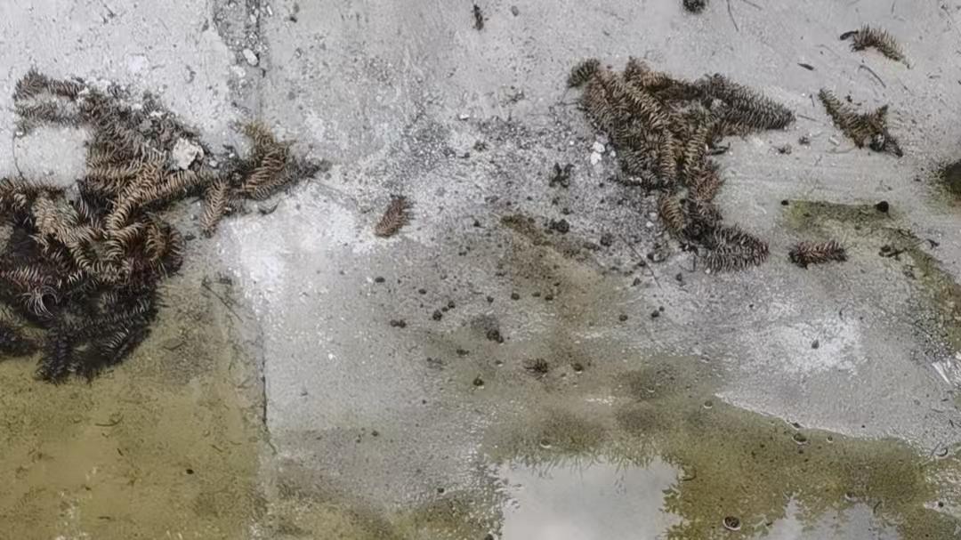 巴歇尔槽 —— 明渠流量测量的辅助装备