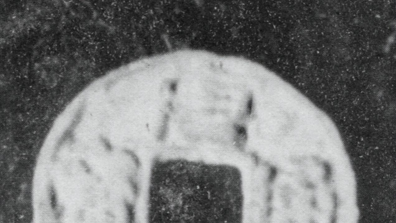 九江文史 | 凝视并凝思西园