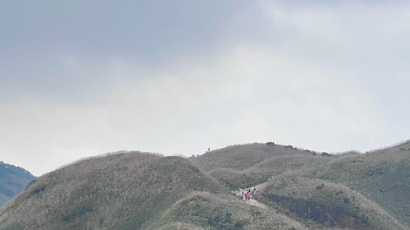 踏遍南山崎与峻，最念双足载我归