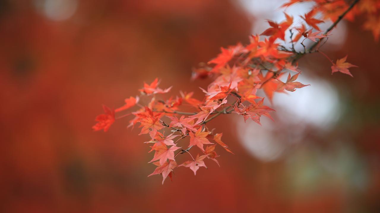 40岁以后，如果还想多活几年，就牢牢记住这5句话！
