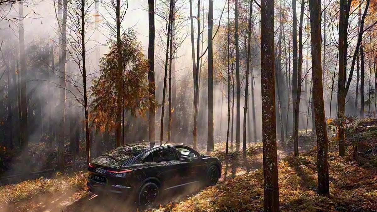 租电15.49万/限量666台 乐道L60黑骑士特别版上市