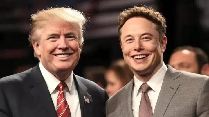 杜晓梦：“懂王与马”的分与合