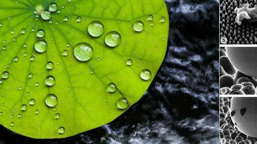 如何提高聚硅氮烷疏水涂层耐久性