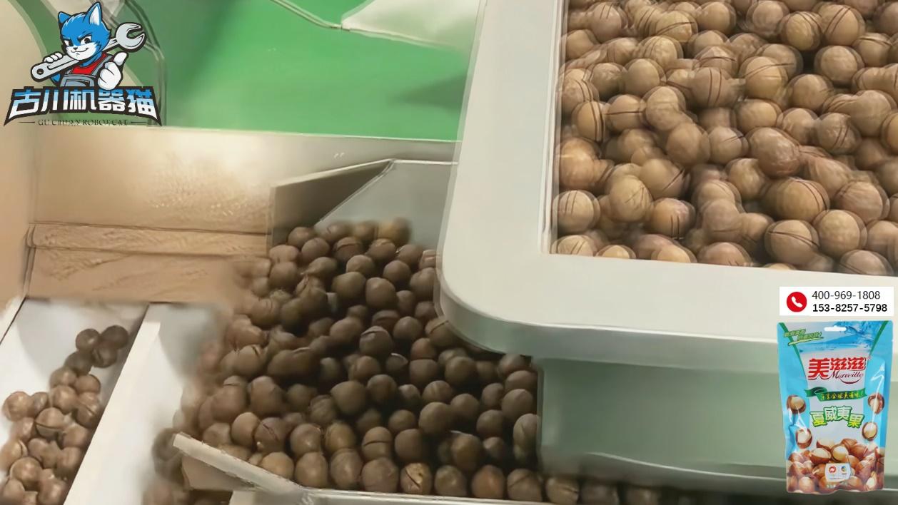 日产超3万包，古川夏威夷果包装机：高速封装，颗颗饱满不碎！