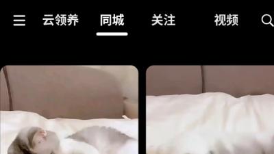 我的同城宠友，都是在这找的