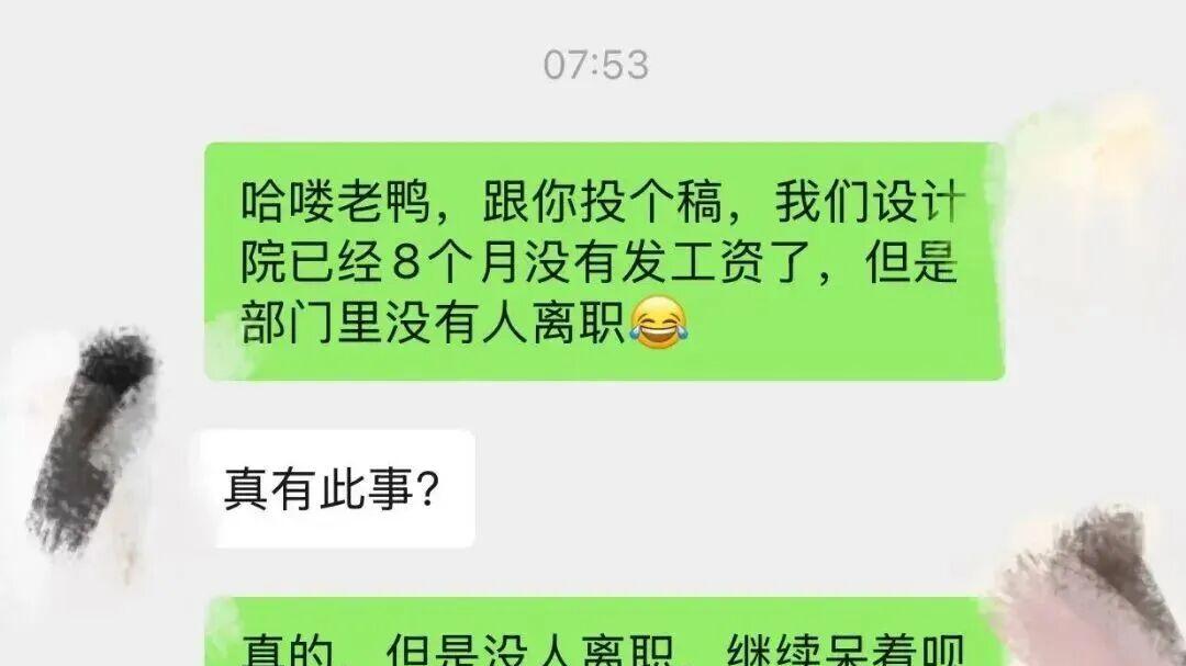 某设计院连续8个月不发工资但没人离职