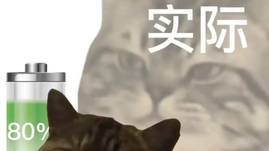 直击娱乐圈抽象面！张蔷向太“怼”出新高度，闫妮那英太敢说