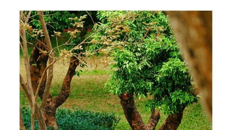 夜色圳好 | 陪父母慢慢走，是我们最该赶的路