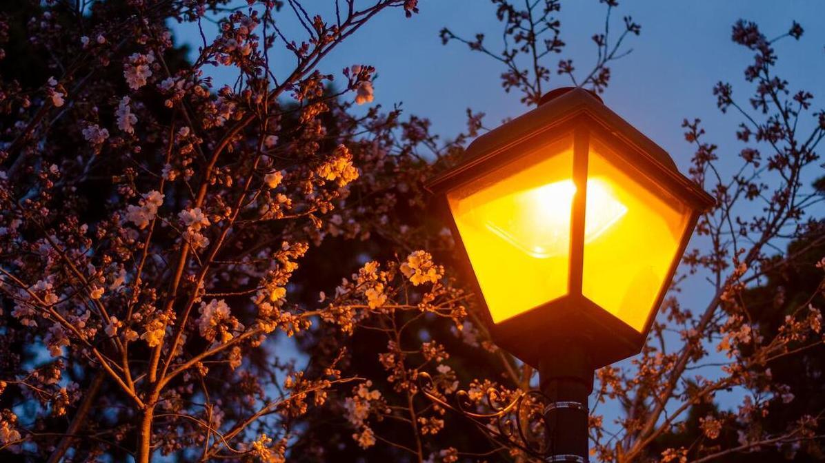 为何今年的清明节在4月4日？6类人上坟扫墓，你算一个吗？