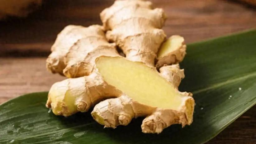 从《证类本草》探寻中药鲜药的“鲜活”力量