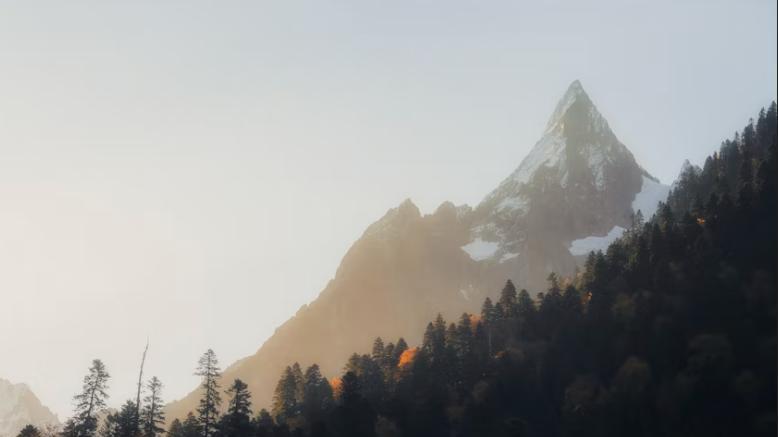 优秀的小程序开发公司推荐！2025实力口碑小程序公司精选