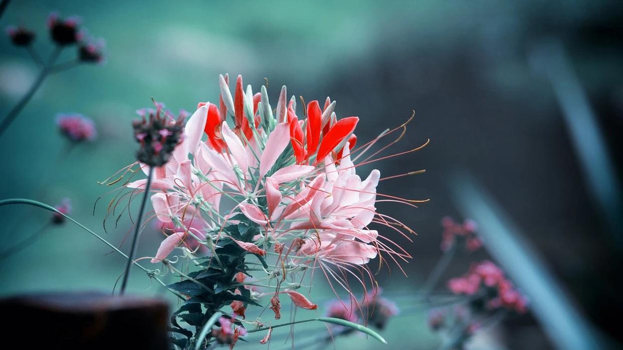 活着的意义？看完这3点，醍醐灌顶！