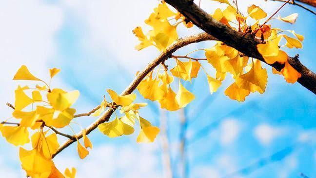 分手后，别急着删微信：这样做，可能让你更成熟。