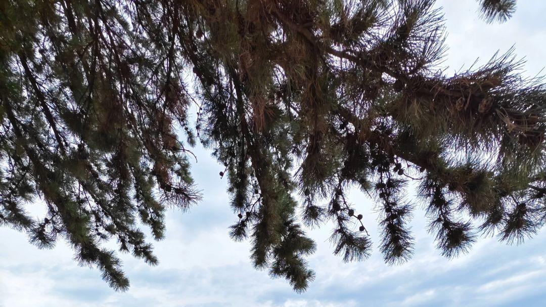 山西忻州南禅寺：中国现存最古木构的“唐风密码”