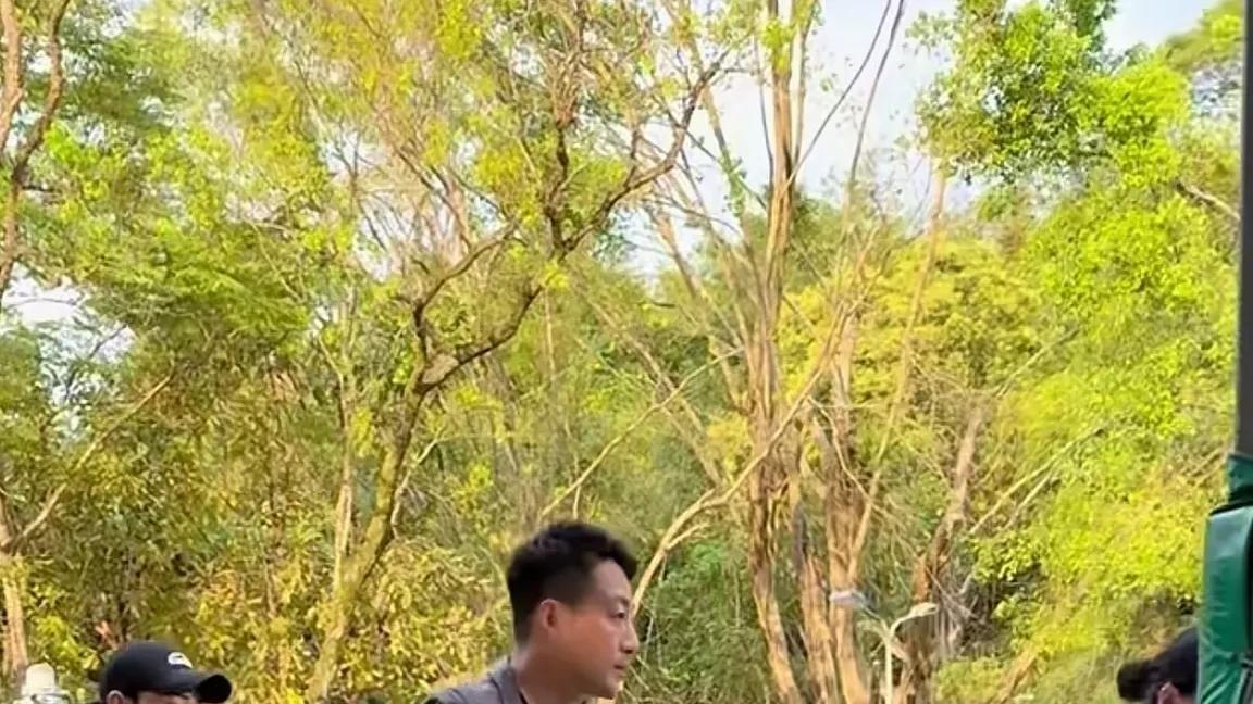 台北公园父子情，温馨画面藏玄机，新篇章即将开启？
