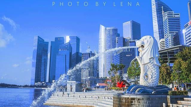 超治愈！新加坡研学逛国会大厦，幼儿园娃读懂勇敢的意义