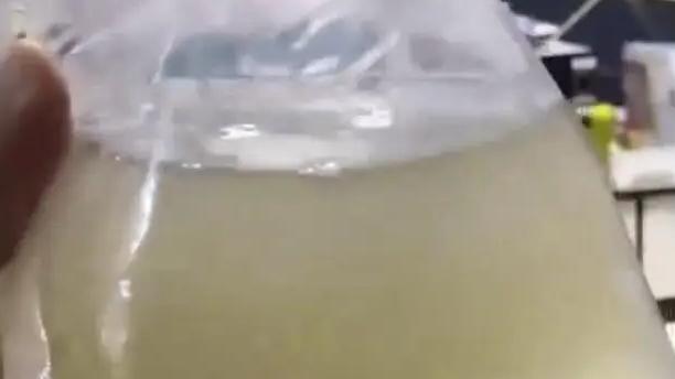 50条观赏鱼变“鱼汤”？商家：加热包煮化已退全款