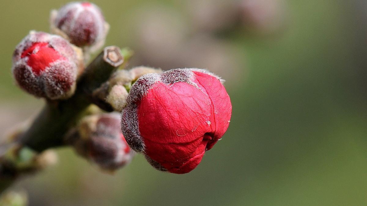 世界那么大，错过一次，也许就是一辈子
