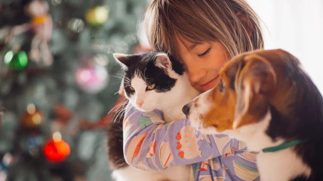 宠物经济：新家庭结构的消费镜像