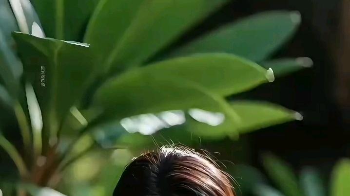 “玛姆斯”献礼民族团结   一分钟视频引爆网络