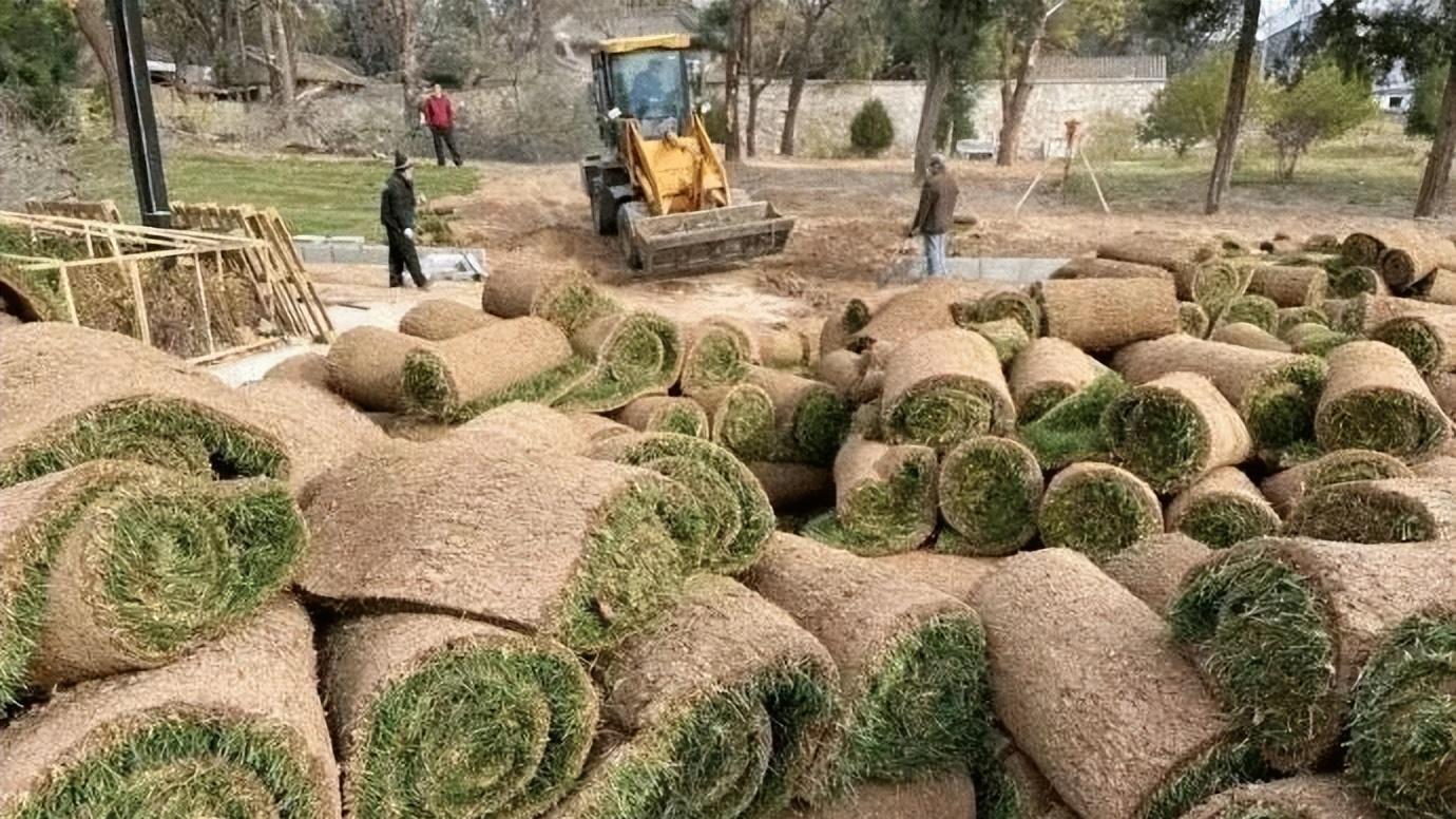 网易这游戏公测成功