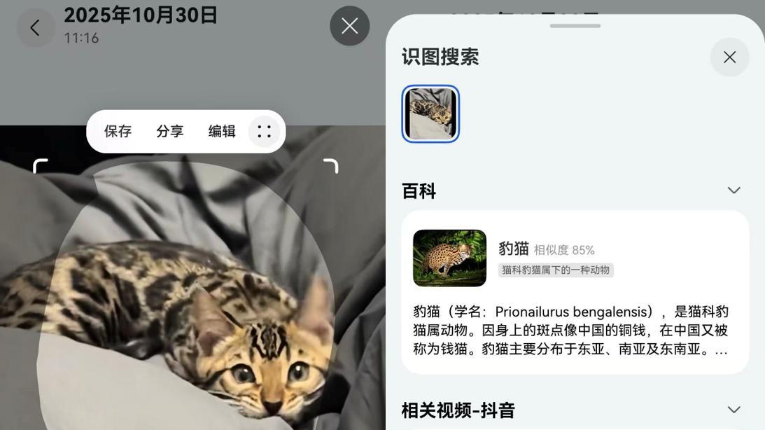 抖音的“鸿蒙速度”！新上线30多项功能，首创“小火人”动态卡片，携华为Mate双旗舰重构新玩法