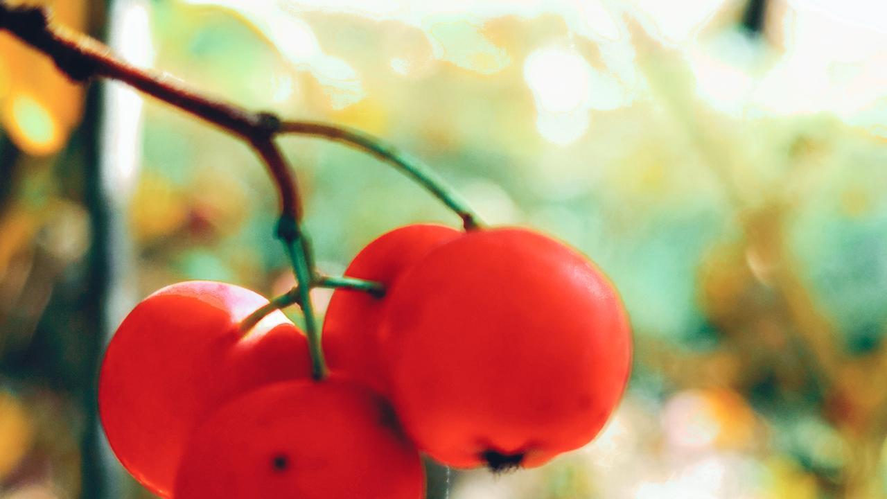 《荀子》经典名言22句，蕴含人生哲理 ，值得一读再读！