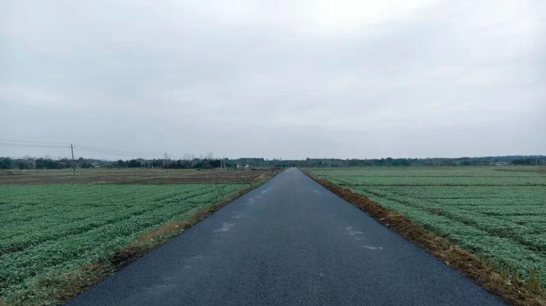 荆门市掇刀区孟港村：路宽灯亮通坦途 移民资金润民心‌
