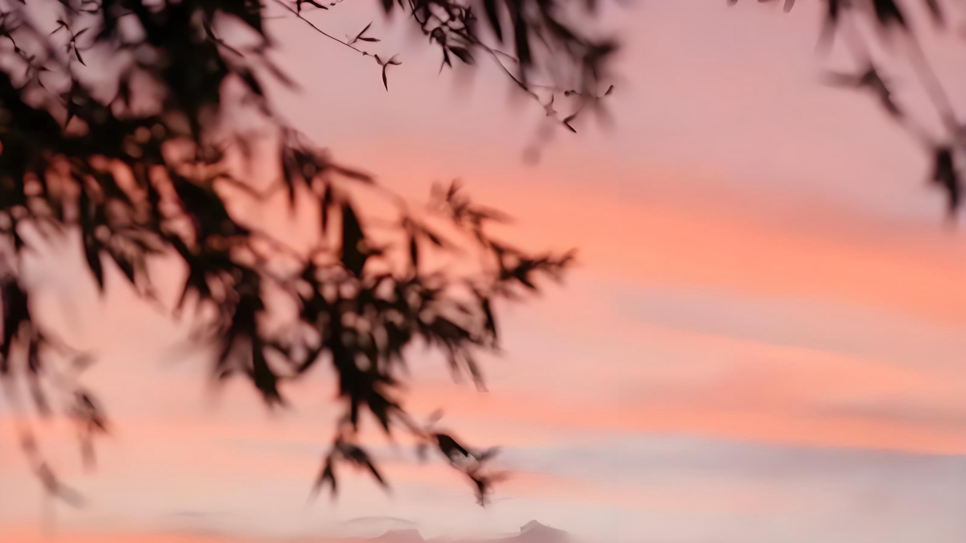 “我不再逃离了”：从窒息的分手，到拥抱那个哭泣的小孩