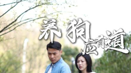 热播短剧《养狗应有道》：60 集的爱宠生活指南与温情故事集