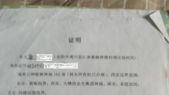 黄楼村村民维权未果：承包土地被瓜分，经济损失二十余万