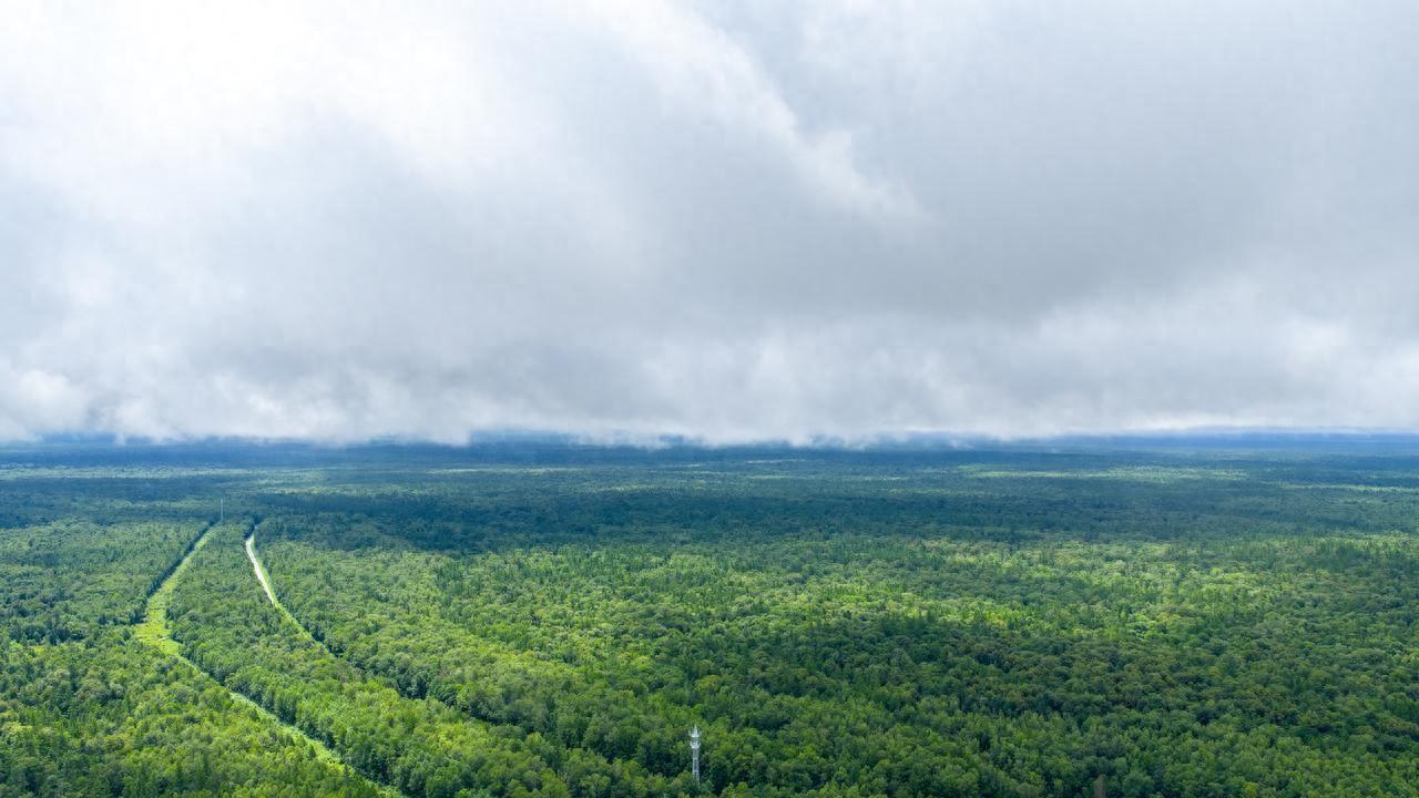 FSC认证棉浆纤维袋可定制可降解电子元件环保包装抗菌处理棉纸袋